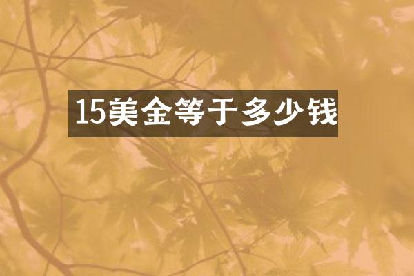 15美金等于多少钱