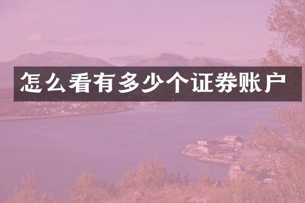 怎么看有多少个证券账户