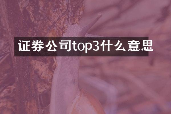 证券公司top3什么意思