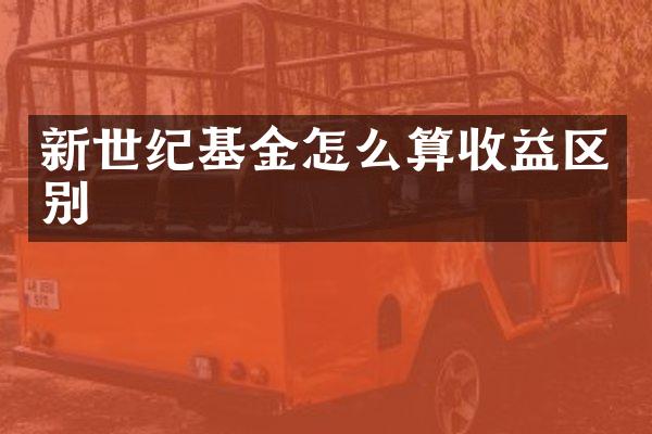 新世纪基金怎么算收益区别