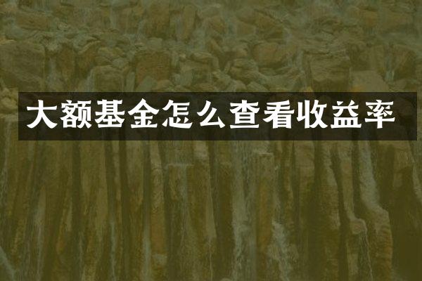 大额基金怎么查看收益率
