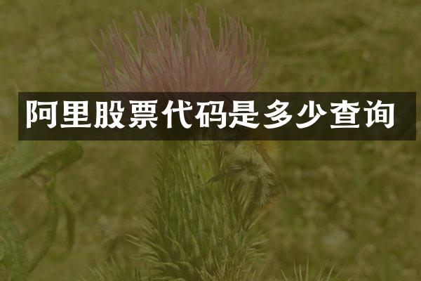阿里股票代码是多少查询