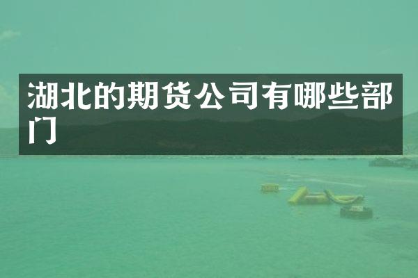 湖北的期货公司有哪些部门
