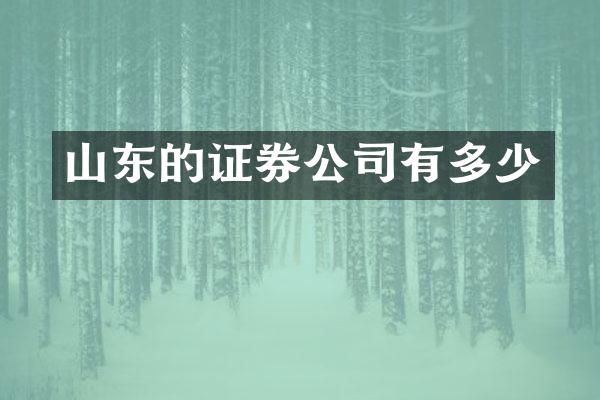 山东的证券公司有多少