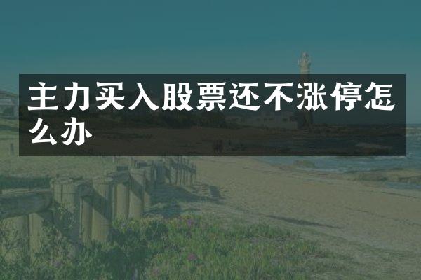 主力买入股票还不涨停怎么办