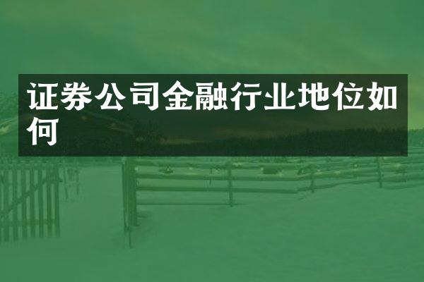 证券公司金融行业地位如何