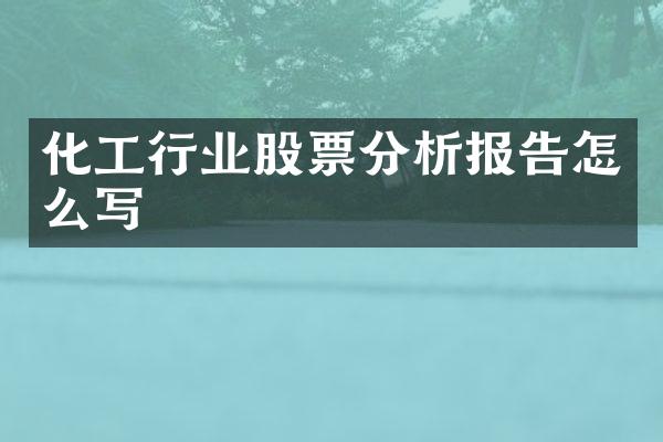 化工行业股票分析报告怎么写