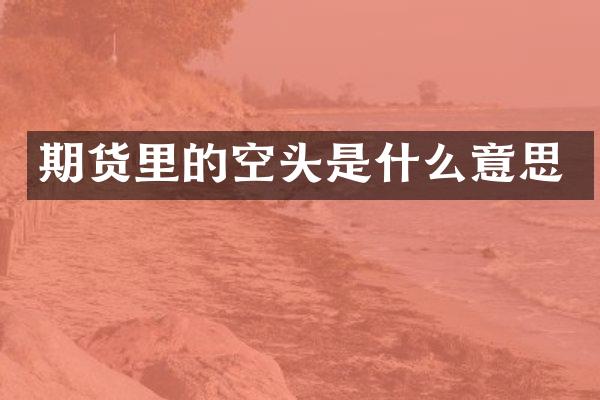 期货里的空头是什么意思
