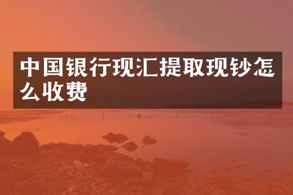 中国银行现汇提取现钞怎么收费