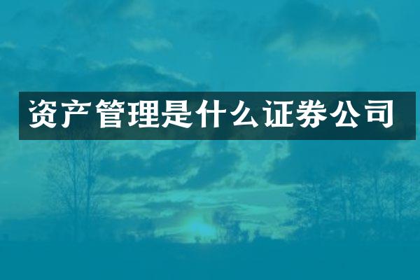 资产管理是什么证券公司