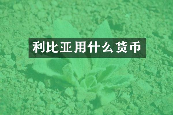 利比亚用什么货币