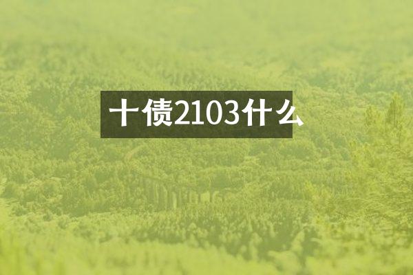 十债2103什么
