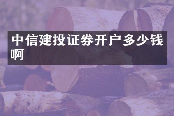 中信建投证券开户多少钱啊
