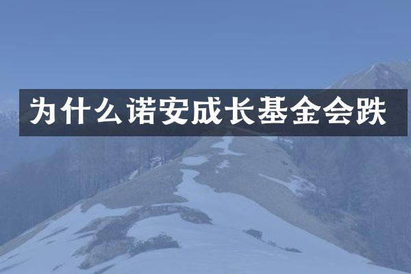 为什么诺安成长基金会跌