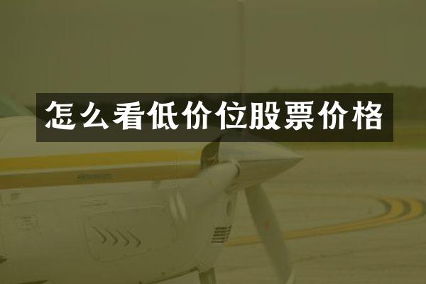 怎么看低价位股票价格