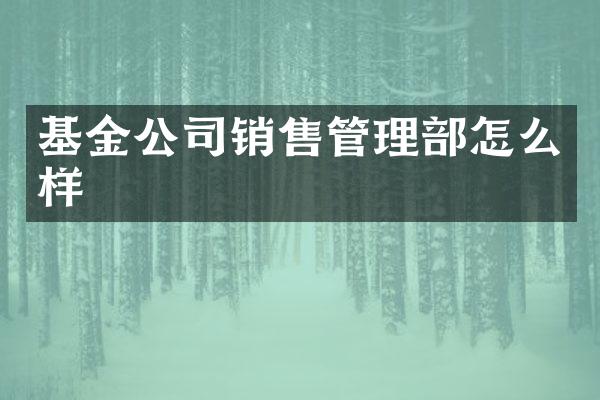 基金公司销售管理部怎么样