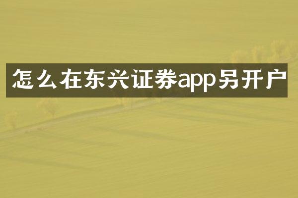 怎么在东兴证券app另开户