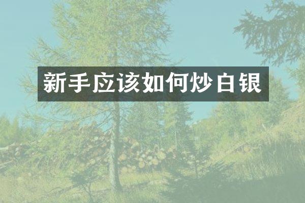 新手应该如何炒白银