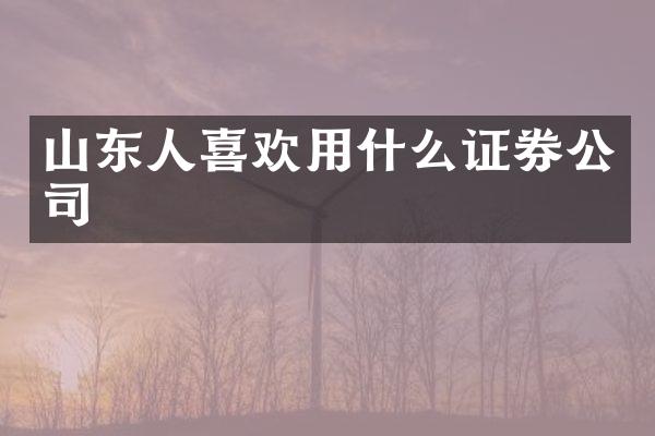 山东人喜欢用什么证券公司
