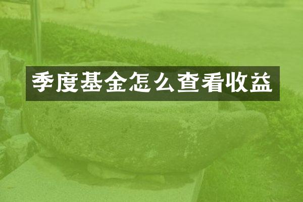 季度基金怎么查看收益