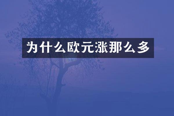 为什么欧元涨那么多