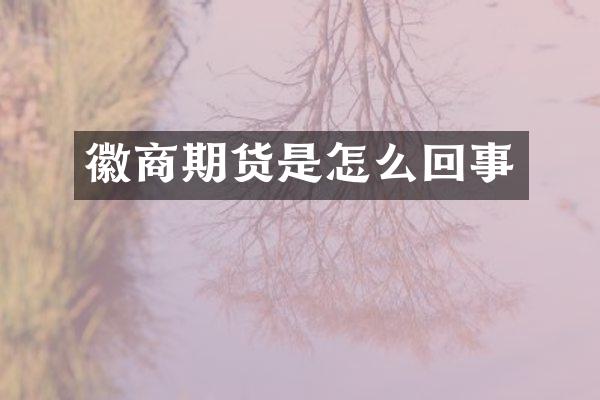 徽商期货是怎么回事