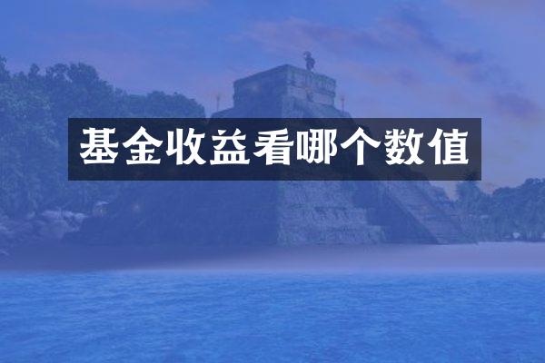 基金收益看哪个数值