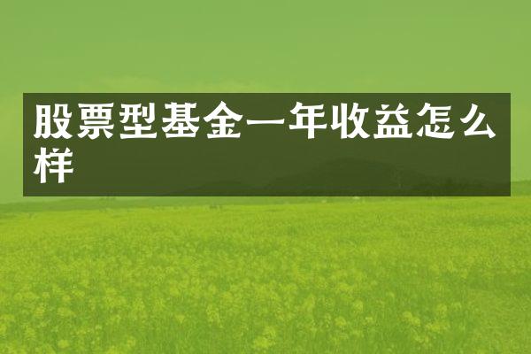 股票型基金一年收益怎么样