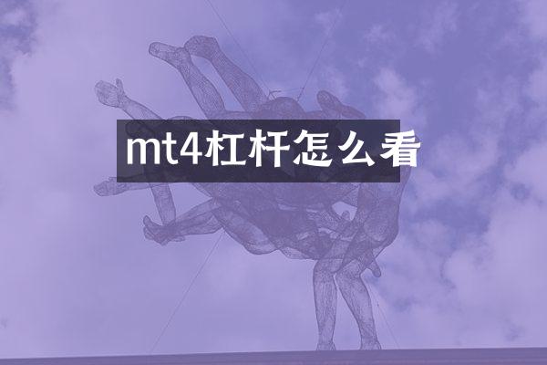 mt4杠杆怎么看