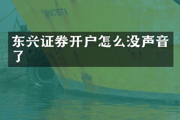 东兴证券开户怎么没声音了