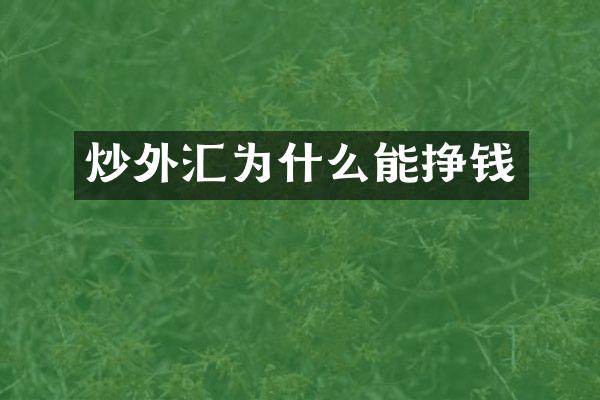 炒外汇为什么能挣钱