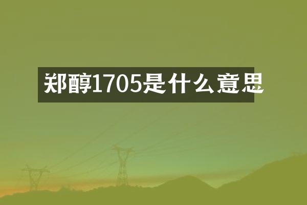 郑醇1705是什么意思