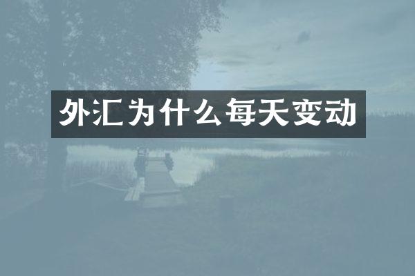外汇为什么每天变动