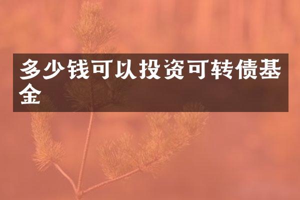 多少钱可以投资可转债基金