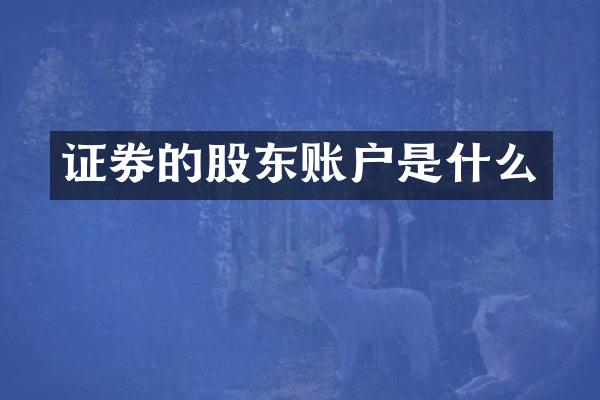证券的股东账户是什么