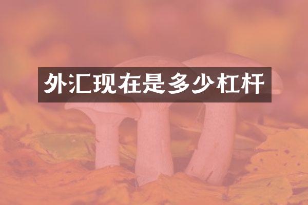 外汇现在是多少杠杆