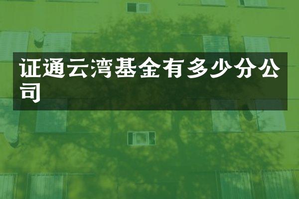 证通云湾基金有多少分公司