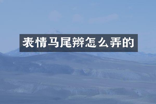 表情马尾辫怎么弄的