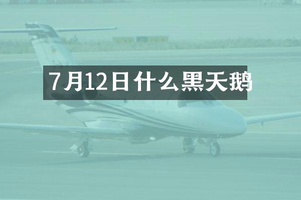 7月12日什么黑天鹅