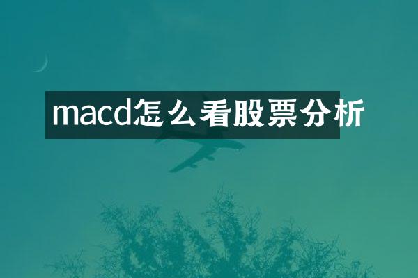 macd怎么看股票分析