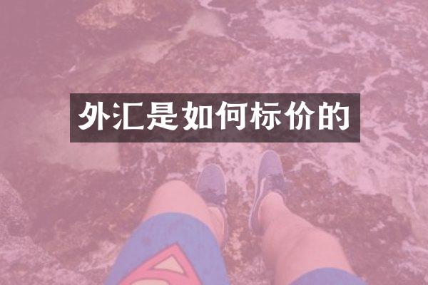 外汇是如何标价的