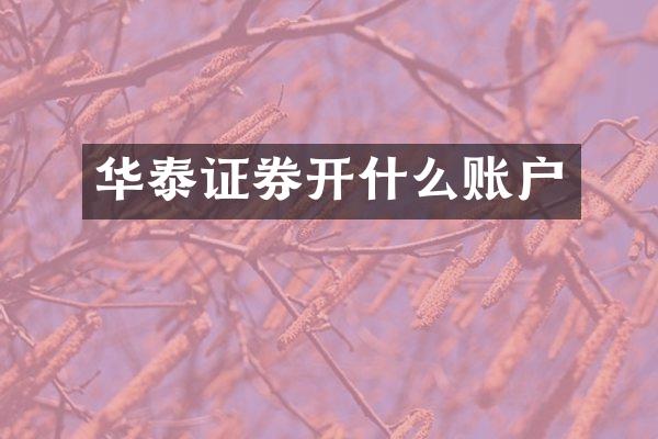 华泰证券开什么账户