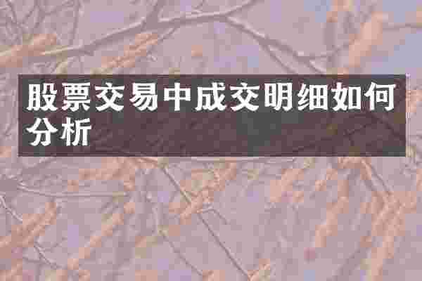 股票交易中成交明细如何分析