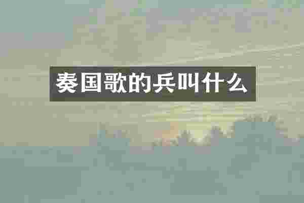 奏国歌的兵叫什么