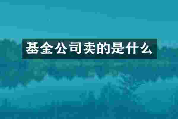 基金公司卖的是什么