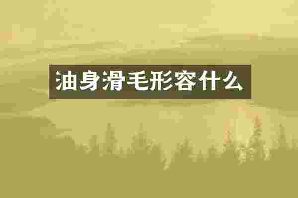 油身滑毛形容什么