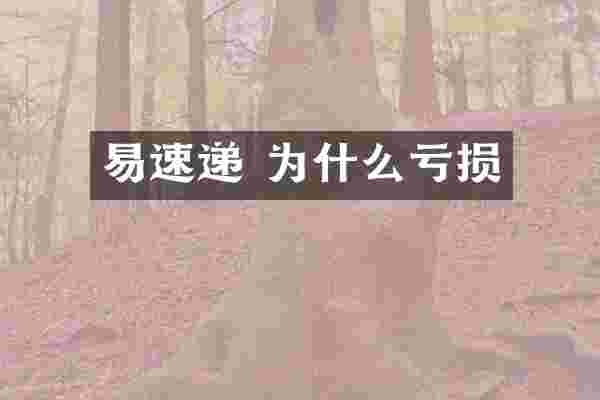 易速递 为什么亏损