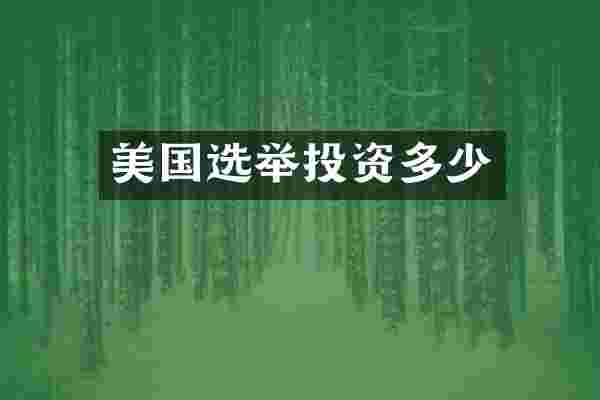 美国选举投资多少