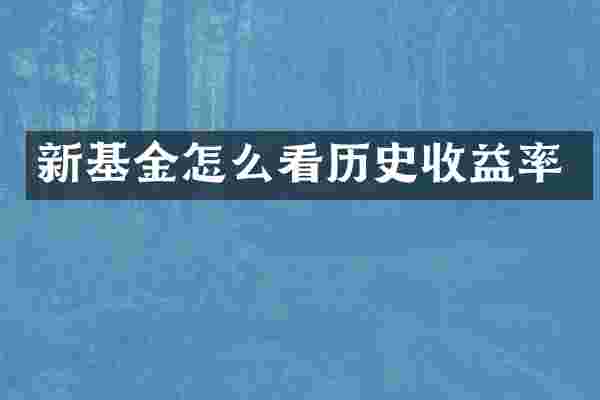 新基金怎么看历史收益率