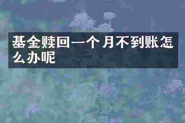 基金赎回一个月不到账怎么办呢